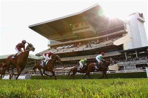 best bets randwick|Randwick Racecourse Tips .